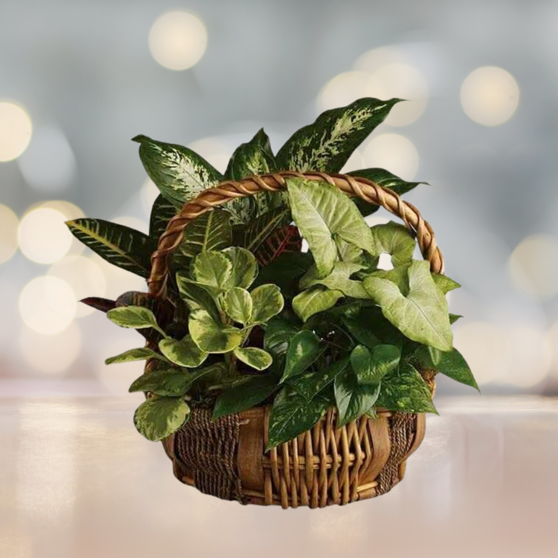 Evergreen Charm Basket