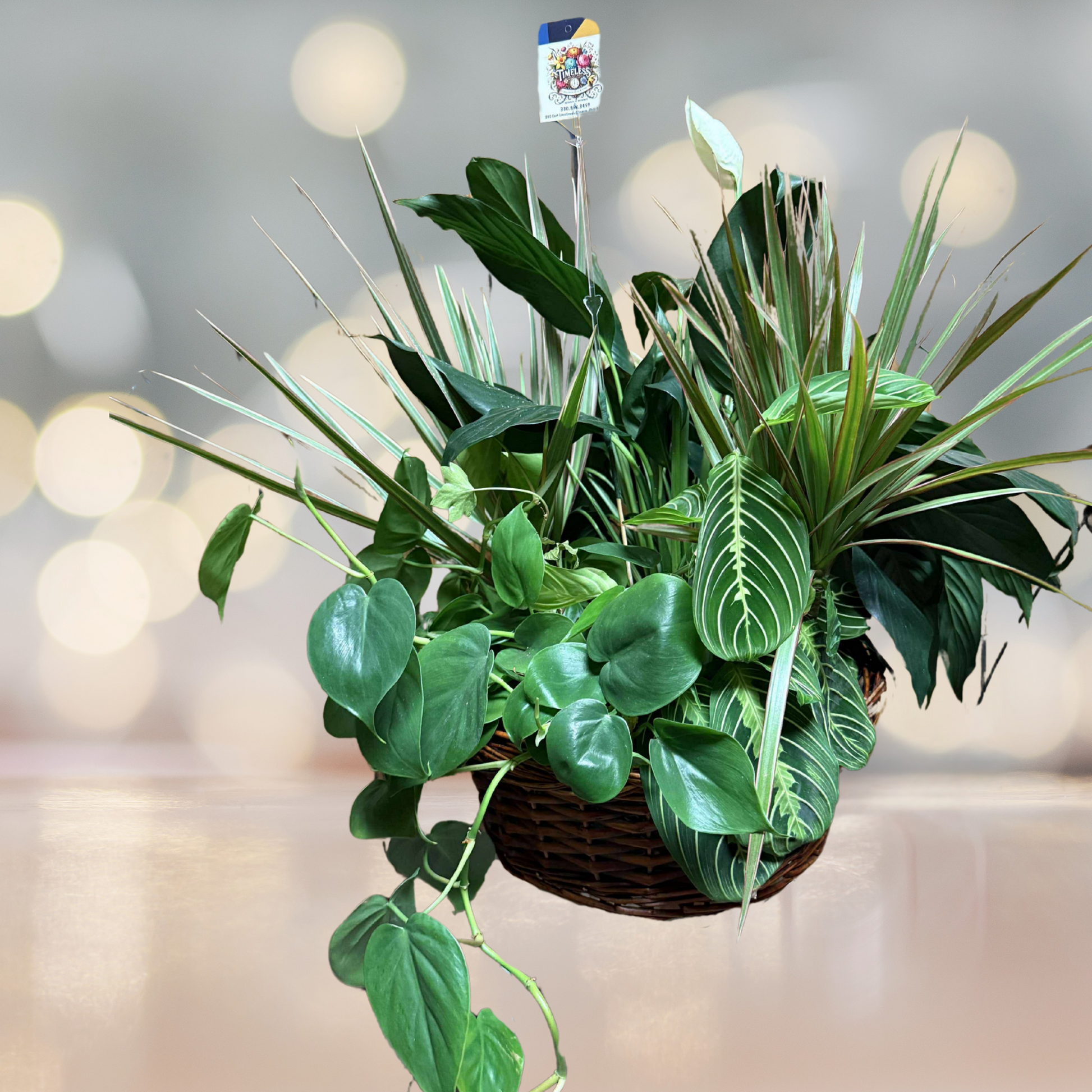Verdant Harmony Dish Garden